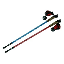 Spartan nordic walking túrabot