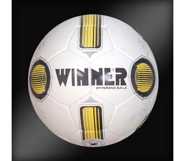 Futsal Futsal